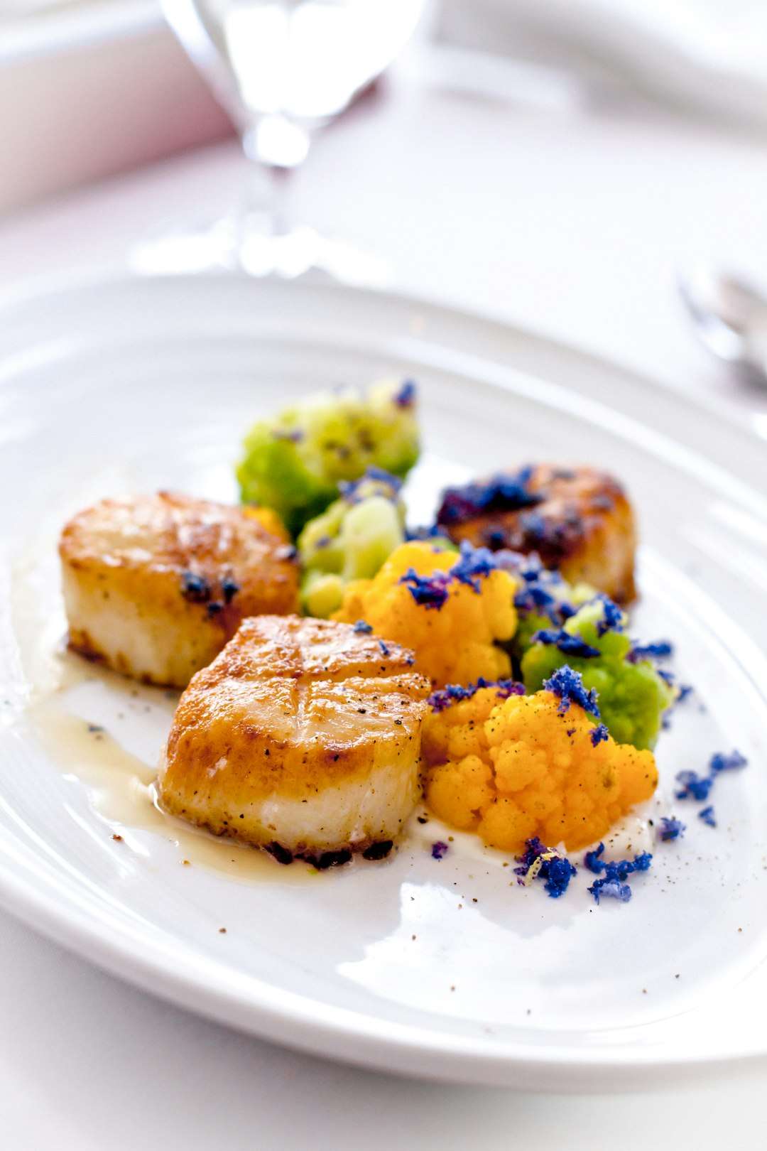 pan-seared-scallops-pea-puree