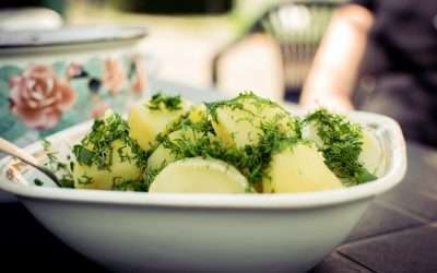 Best German Schnitzel Potato Salad
