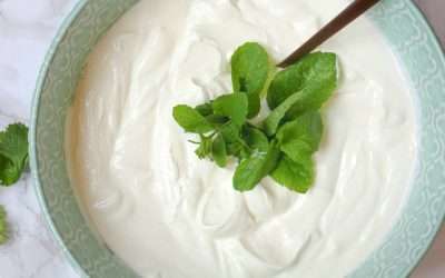Greek Yogurt Dip (Easy, Creamy)