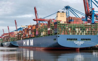How Spices Shaped Global Trade and Exploration