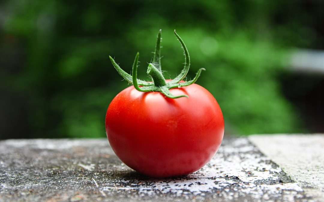 How to Choose the Best Tomatoes for Cooking
